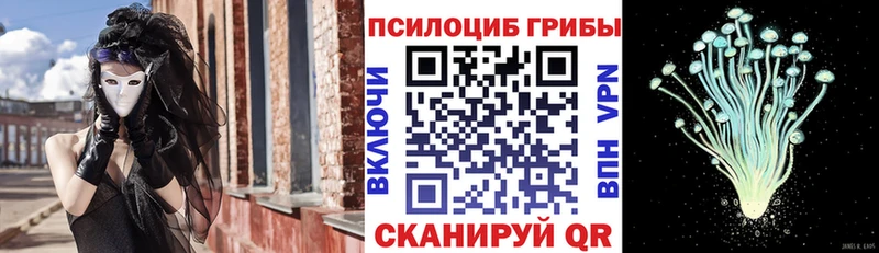 Галлюциногенные грибы GOLDEN TEACHER  мега вход  Анжеро-Судженск 