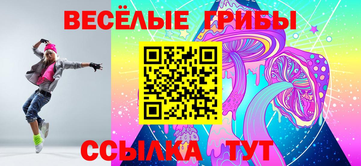 Псилоцибиновые грибы GOLDEN TEACHER  Псилоцибиновые грибы GOLDEN TEACHER  дарнет шоп  Анжеро-Судженск  Вход с VPN 
